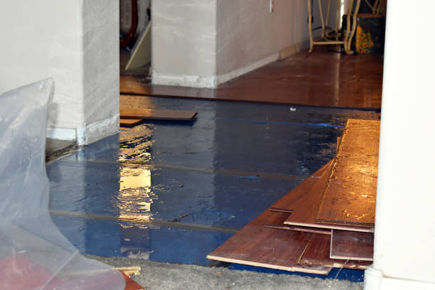 Professional Basement Flooding technician working in Buckholts, TX